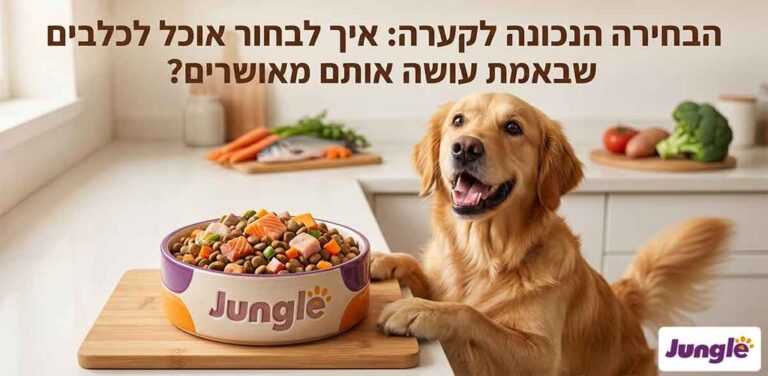 אוכל לכלבים ברשת ג'ונגל קלאב