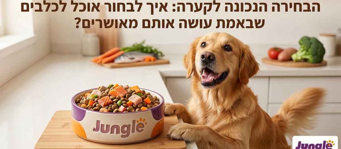 אוכל לכלבים ברשת ג'ונגל קלאב